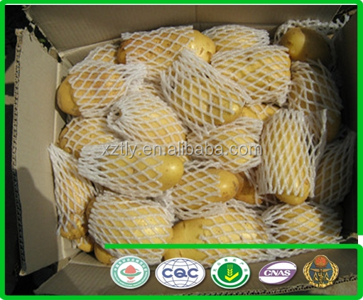 2014 Holland Potato with good quality
