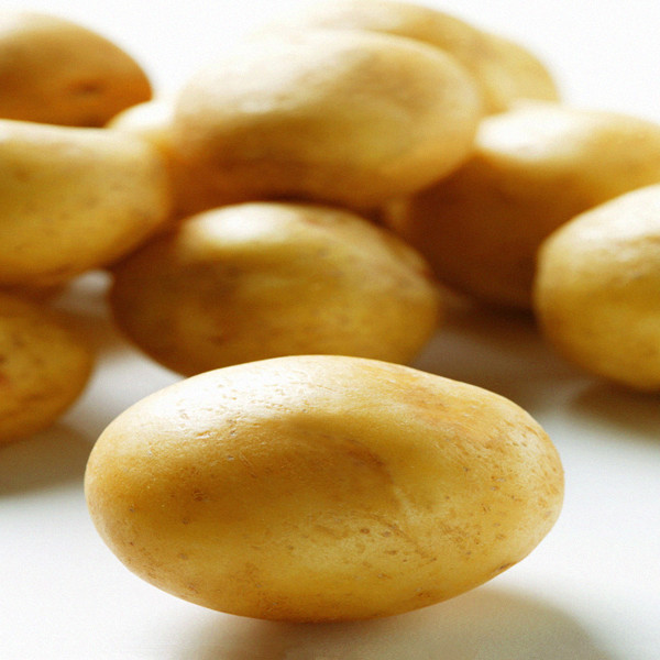 2014 Fresh potato with top quality and competitive price from China
