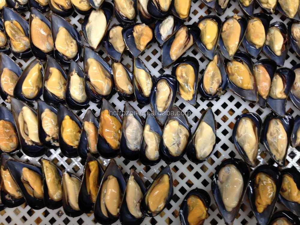 Frozen Half Shell Blue Mussel Buy Frozen Half Shell Blue Mussel