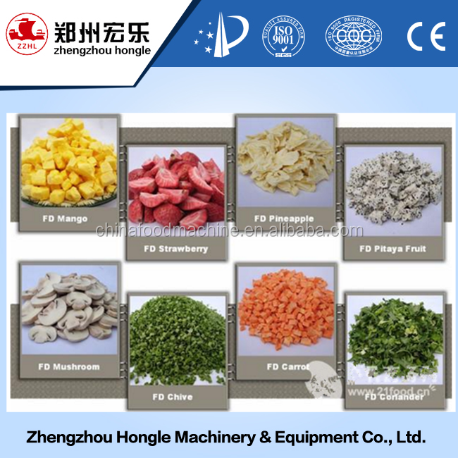 freeze food,freezedried desktop mini freeze drying machine/food freeze drying machine