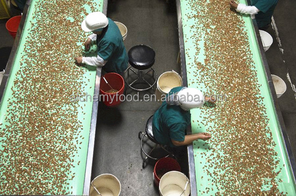 Chinese almonds in shell /all kinds of almonds /bulk almonds