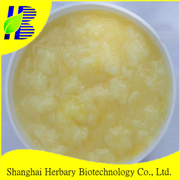 Lyophilized Royal Jelly Powder/royal jelly freeze dried powder