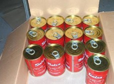 2014 new tomato paste canned food tomato paste