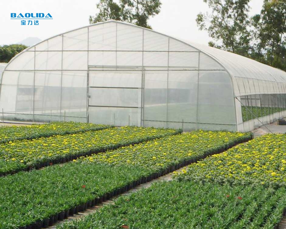 tunnel greenhouse