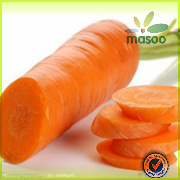 2014 Seasonable vegetables plush carrot /carrots exporter in China