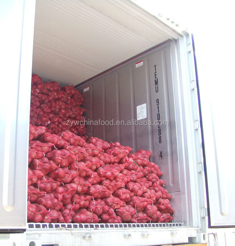 Fresh Red Onion Chinese Bulk Onion Hot Sale
