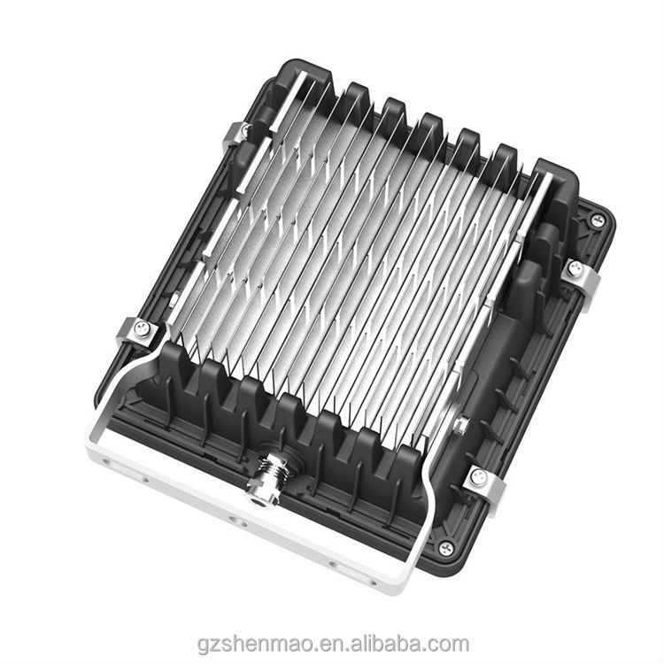 20w  (2)