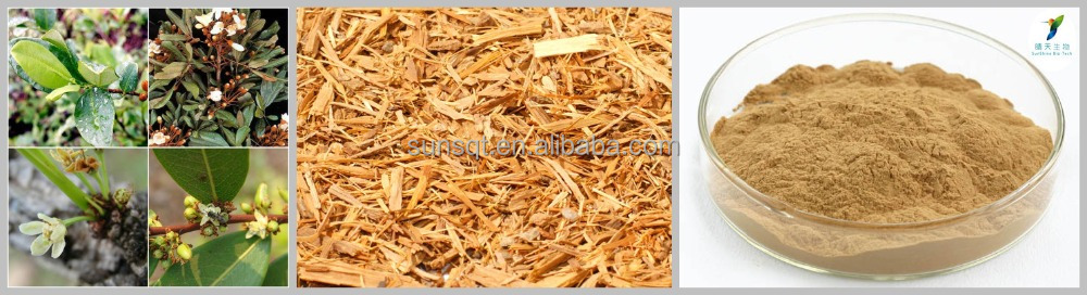 chinese raw herbs suppliers chinese raw herbs suppliers