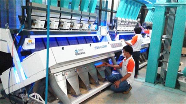 CCD Peanut Color Sorter With More Accuracy Stable