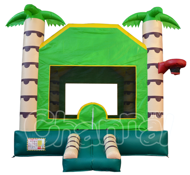 CHB500_.png