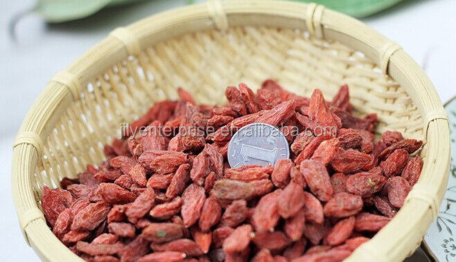 Goji berries dried fruit conventional goji berries/ organic goji berry/fresh goji berries