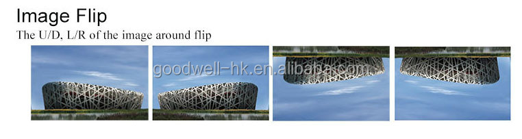 image flip