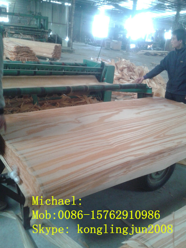 工場直接カウリ木材用単板価格カウリバイヤー自然ベニヤ問屋・仕入れ・卸・卸売り