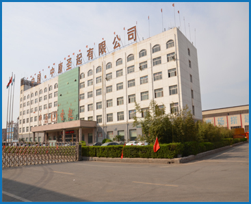 中国トップメーカーfemスタンダードダブル桁のオーバーヘッドクレーンを移動仕入れ・メーカー・工場