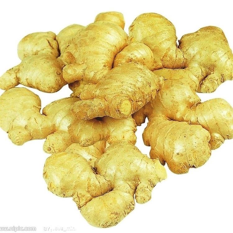 cheap price of fresh ginger in egypt