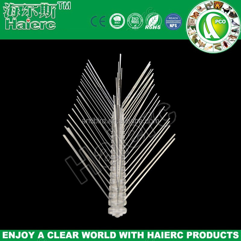 Stainless Steel Bird Spikes.jpg
