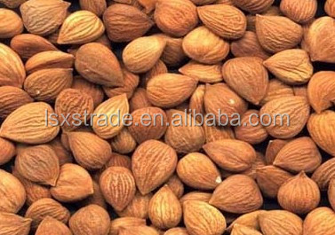 Raw Almonds without shell