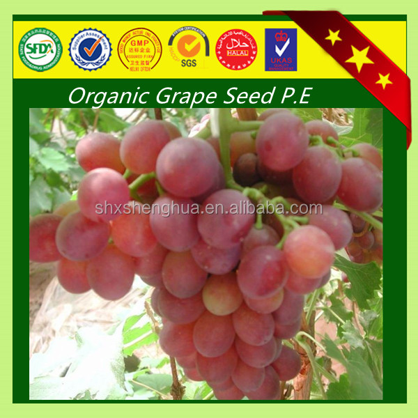 2014 GMP factory organic grape seed extract volcanic powder