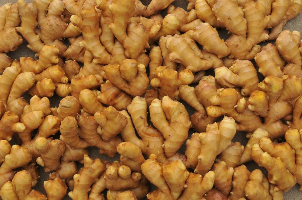20kg Mesh Bag Package Air Dry Ginger