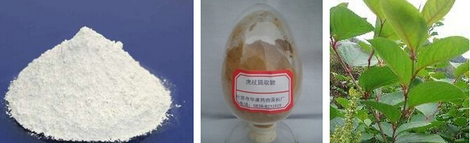 Resveratrol/Polygonum Cuspidatum Extract/Emodin/Polydatin