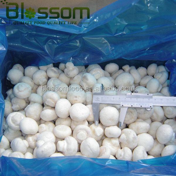 IQF frozen fresh sliced champignons white mushroom