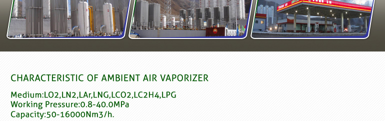 高品質lng気化器周囲の空気のための中国ガスプロジェクト問屋・仕入れ・卸・卸売り