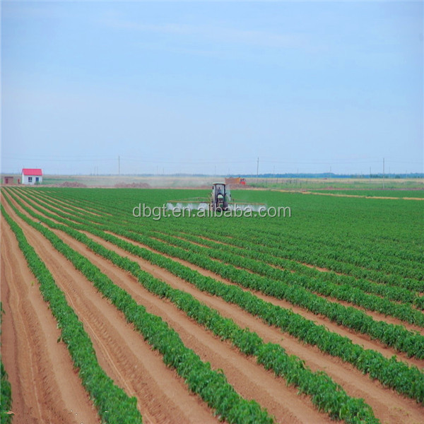 2014 shaanxi fresh potato bulk