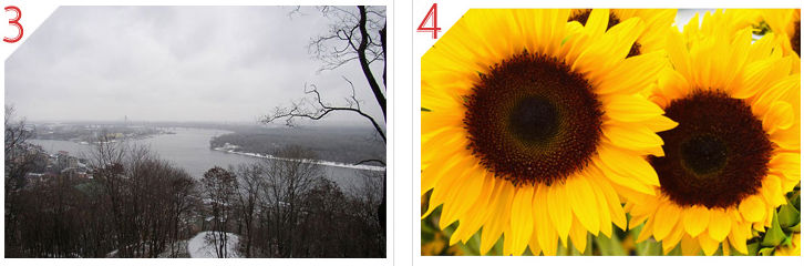 Idle oil- sunflower oil at best price