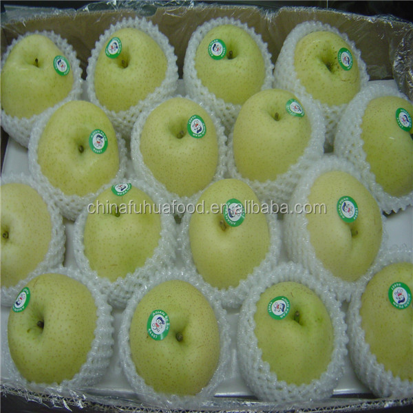 2014 New Crop Pear
