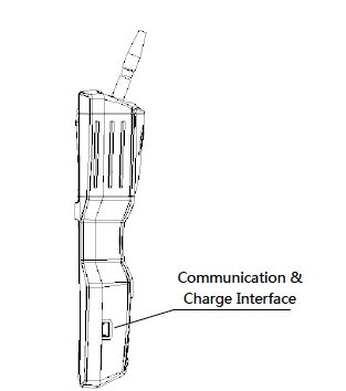 T12.jpg