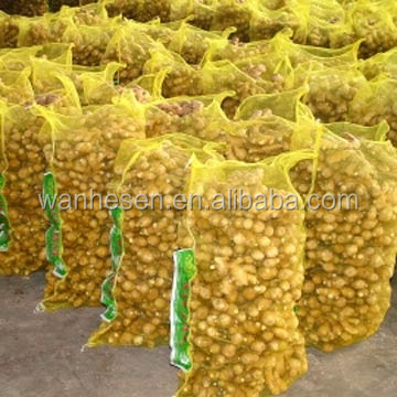 Various Specification dry ginger