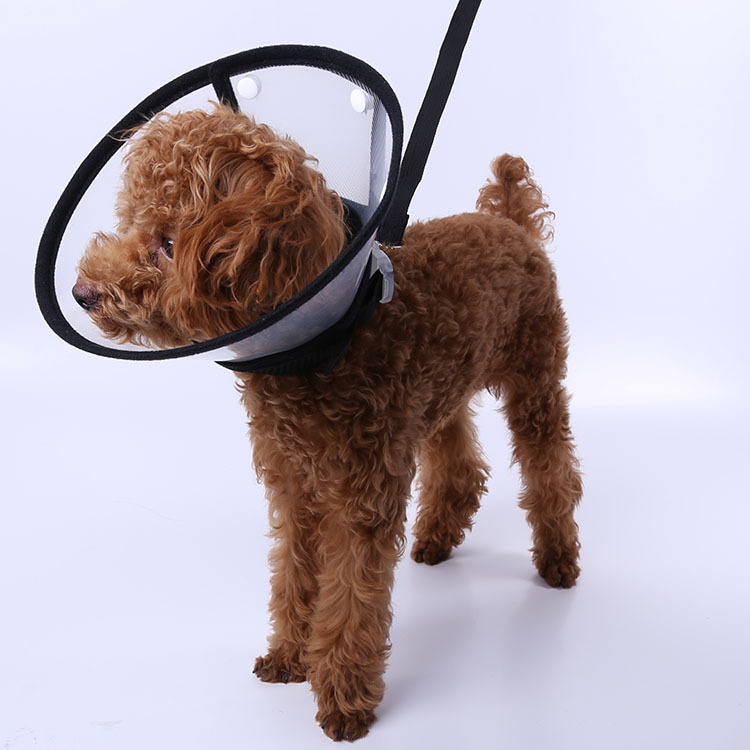 2015通気性メッシュペット犬猫の子犬襟プロテクターdリング付き犬の首輪抗刺さジョギング5色問屋・仕入れ・卸・卸売り