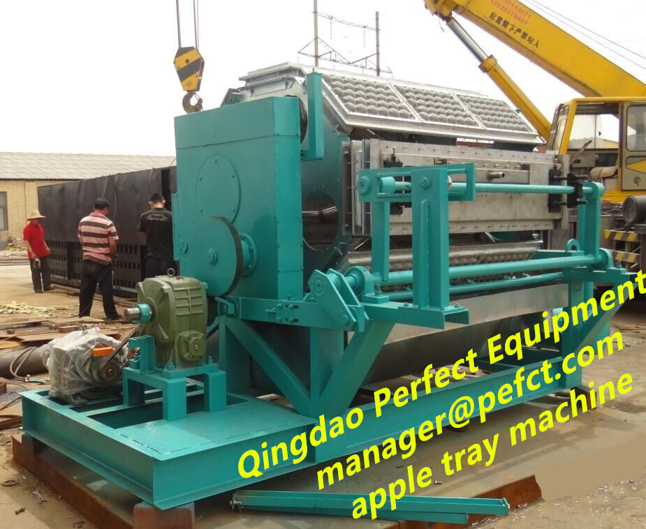 apple tray molding machine.jpg