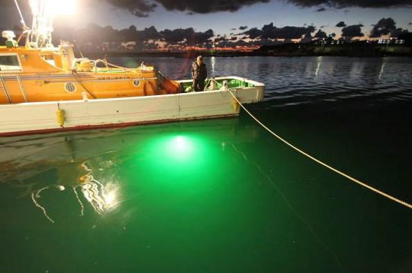 中国市場に新製品海洋水中12vled緑色の集魚灯問屋・仕入れ・卸・卸売り
