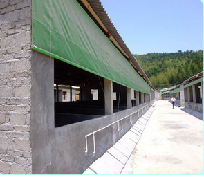 B1 (2).png