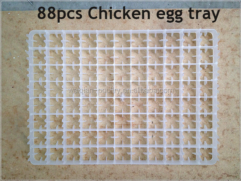 chicken egg tray.jpg