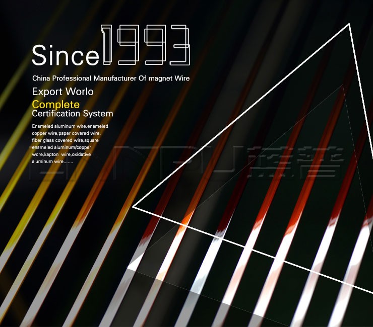 Class H Varnish Insulated Flat Copper Wire Flat Wire For