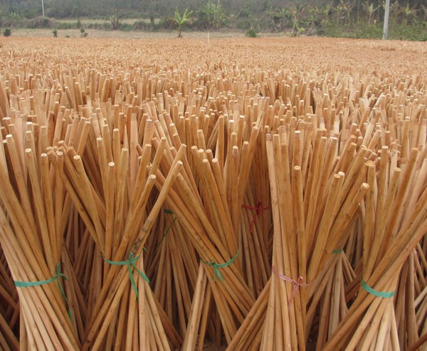 mop stick.jpg