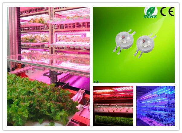 3 Watt High Power Epistar LED Module RGB