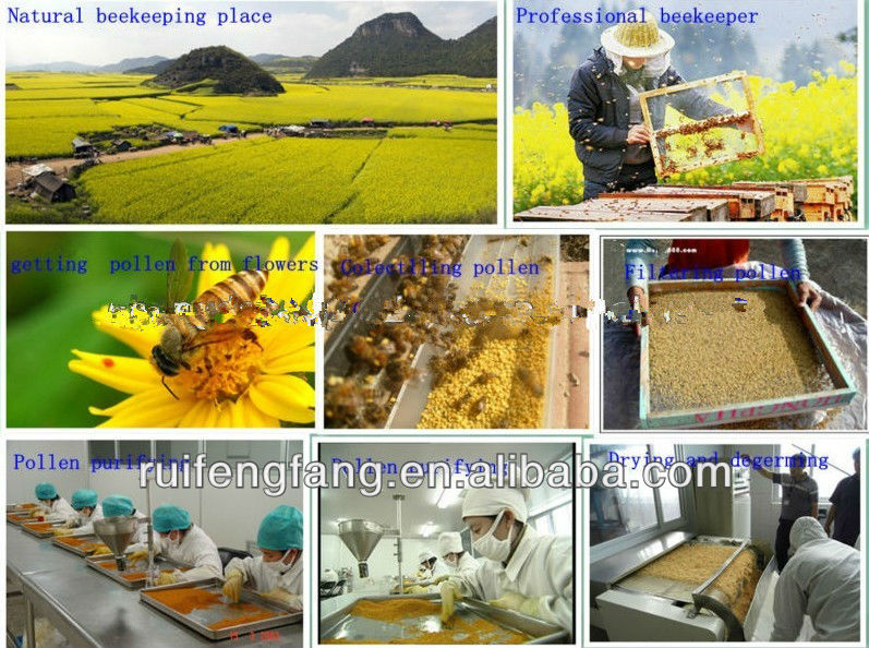 Pure bee bulk pollen with good quality
