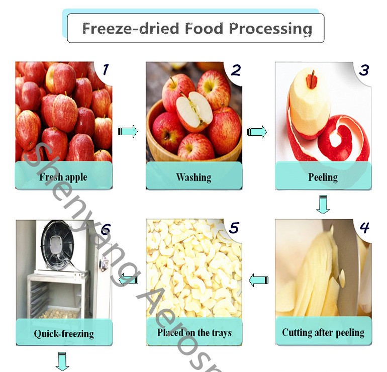2000kg freeze drying capacity for fruit, food, meat freeze dryer