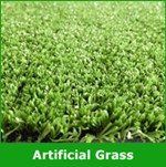 安い屋外緑化草植物パッティング仕入れ・メーカー・工場