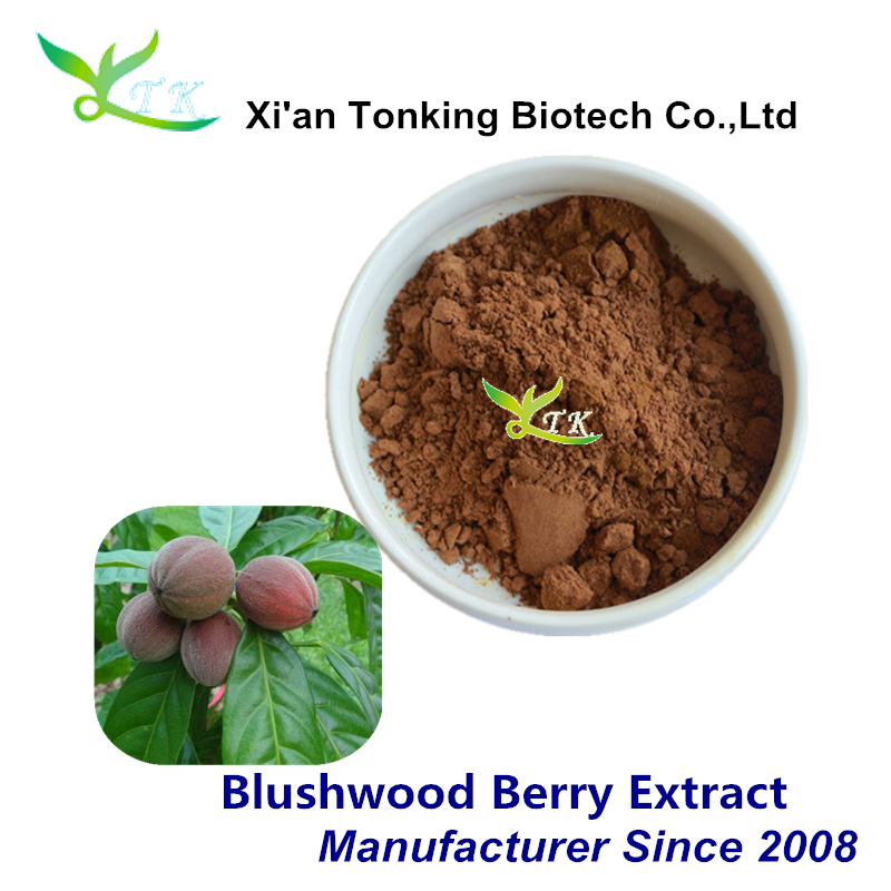 Anticancer Blushwood Berry Extract Powder Buy Blushwood Berry