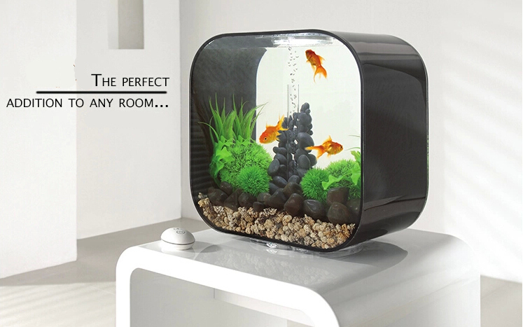 Cube Aquarium Acrylic Fish Tank Perspex Aquaponics - Buy Cube Aquarium 