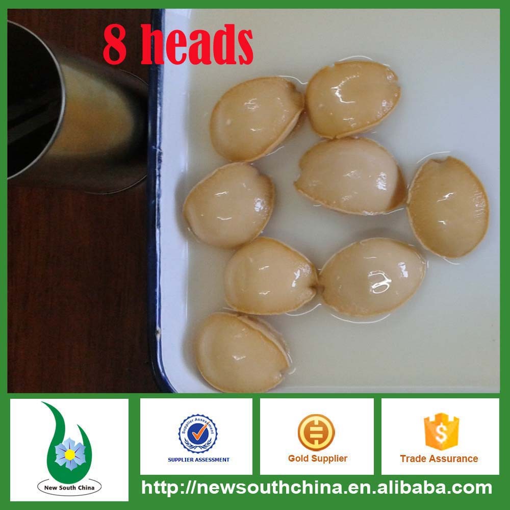 Canned abalone 3.jpg