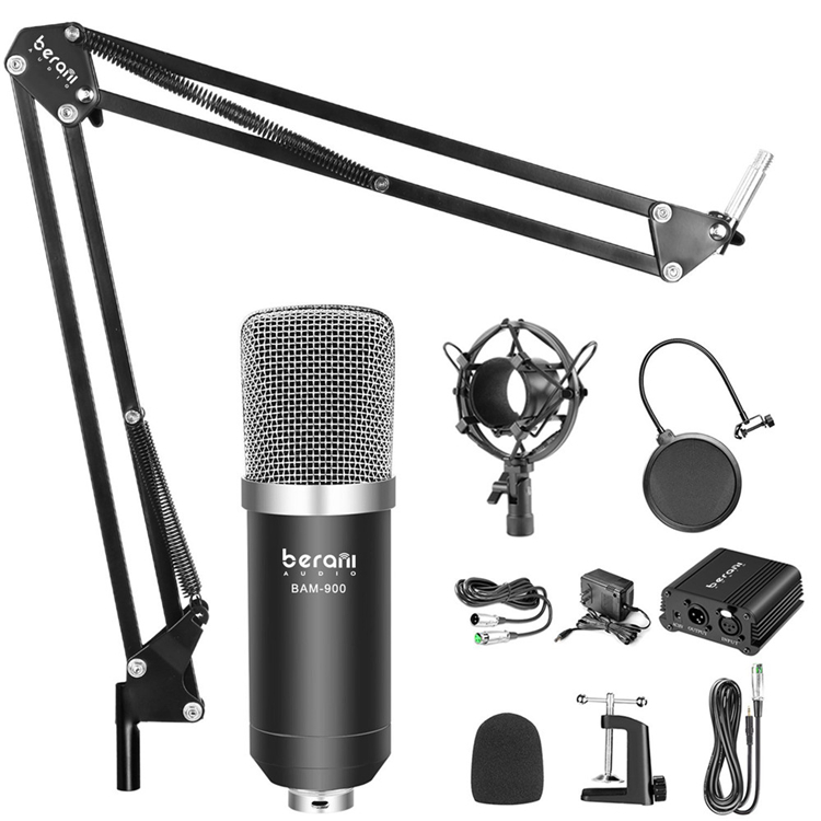 micro studio microphone