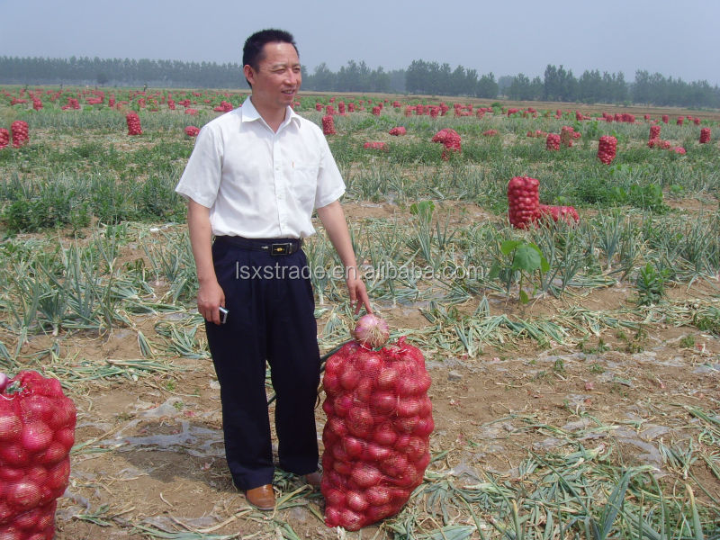 2014 fresh red onions for sale(H)