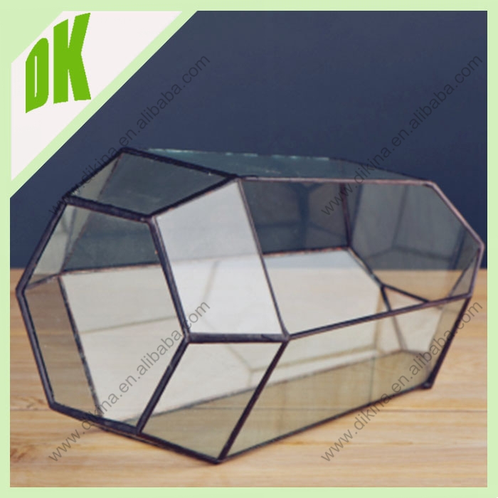 Dinika Whole Hanging Large Glass Terrarium With A Hinged Door Dinika Whole Hanging Large Glass Terrarium With A Hinged Door