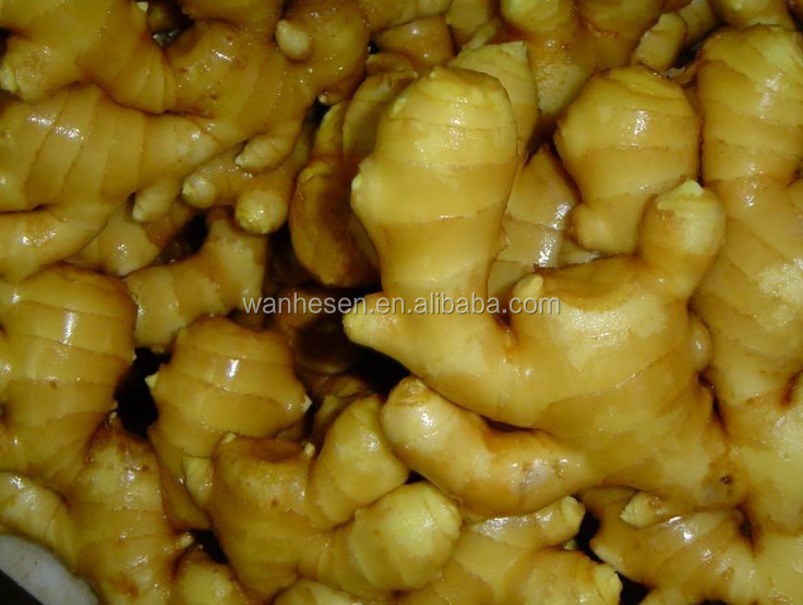 2014 High Quality New Crop Fresh ginger export For UK,CANADA,USA and EU Market best selling ginger