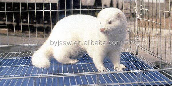 mink cage11.jpg